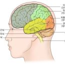 소리청한의원 이미지