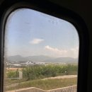 올림픽공원-88호수(옥외화장실) | 페스티벌 주의사항 tip 라인업 연세대학교 러브썸 페스티벌 #10cm 공연후기 #페스티벌과 콘서트의 차이