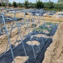 진장농장 이미지