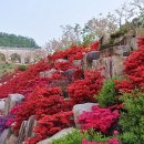 가야대학교(김해) 이미지