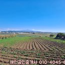 고산수월봉 이미지