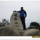 에스케이스포렉스 이미지