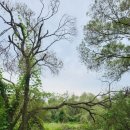 보통리 저수지 2 이미지