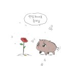 내가 아는 시라 얘기해줄게 이미지