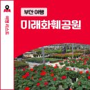 미래화훼공원에 다녀왔어요. 화훼단지 부산미래화훼영농조합법인
