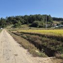 예동마을회관 이미지