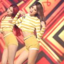 분당-253 이미지