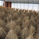 부래미 마을 이미지