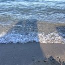 푸라닭대구상인점 | summmmer