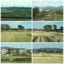 일본 여행4 - 하코네로... 로만스카, 창밖 풍경, 에키벤과 먹거리들 이미지