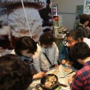 송암리 농장 이미지