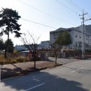 네이처런스(주) 네이버블로그