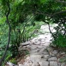 깨구락지네