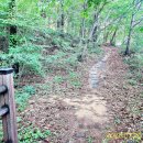 금남면사무소 이미지