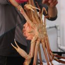유진포장주식회사
