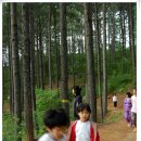 백운산 캠핑장 이미지