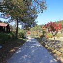 구수곡자연휴양림 이미지