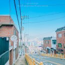 김은경속눈썹