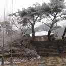 송산초교 이미지