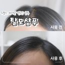두랩스 교보