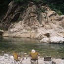 왕피천 숲속 캠핑장 이미지