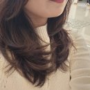 송촌동 미용실 LSJ뷰티헤어 송촌점 커트와 클리닉 후기