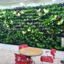 거창군보건소 이미지