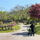 금대에코힐링캠핑장(주차장) 이미지