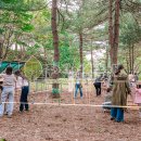 목행초교 병설유치원 이미지