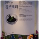 블루베리와 국제발효식품엑스포&한국음식관광축제 이미지