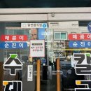 원조매콤이와순진이 네이버블로그