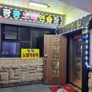 팡팡노래연습장 이미지
