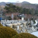 와우정사 이미지