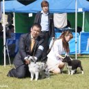 스톰인터내셔널