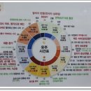 송천성심약국 이미지