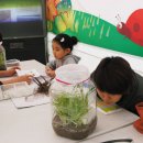 임영택농장 이미지