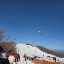 제일카월드 | 하이원 스노우월드 썰매장 당일 후기｜성수기 대기시간·케이블카·가족썰매 솔직 리뷰