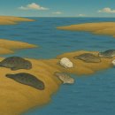 점박이 물범가족 이미지