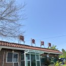 아산 오리고기 맛집 💛 웨이팅도 아깝지 않은 ‘죽순산장’ 후기! 내돈내산!