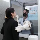 채담이네 이미지