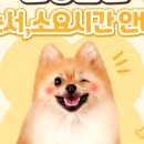 키다리아저씨 동물병원 이미지