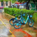 둔배미공원 화장실 이미지