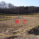 동막동(6) 이미지