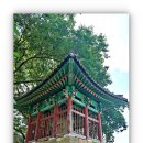 비중리 석조광배 | 2026년 민족문화유산을 찾아서 - 충북 청주 비중리 석조여래 삼존상 2부