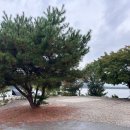 그린존 | 안성 호수뷰 캠핑장 히든캠프 명당 그린존 두가족 사이트 재방문 내돈내산 후기