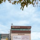 부광미트