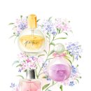 향 화장품 이미지