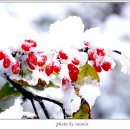 하얀이불 이미지