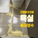 (주)정진약품 | 욕실 오염방지코팅 하자보수(제거 후 재코팅)