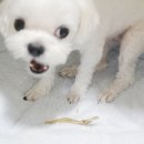 씨제이올리브영이태원 이미지